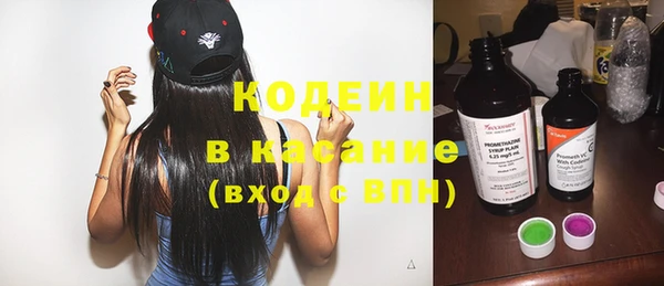 ГАЛЛЮЦИНОГЕННЫЕ ГРИБЫ Арсеньев