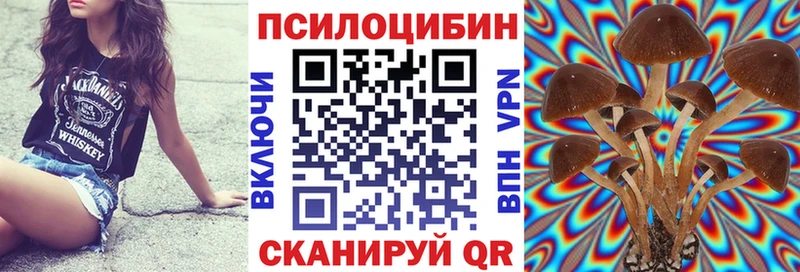 Псилоцибиновые грибы Psilocybe Карабаш